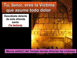 Descálzate delante de esta ofrenda santa  (1a lectura)  Muros (sIXaC) del Templo donde ofrecían las víctimas Tu,  Señor , eres la Víctima que asume todo dolor  