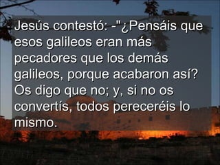 Jesús contestó: -"¿Pensáis que esos galileos eran más pecadores que los demás galileos, porque acabaron así? Os digo que no; y, si no os convertís, todos pereceréis lo mismo.  