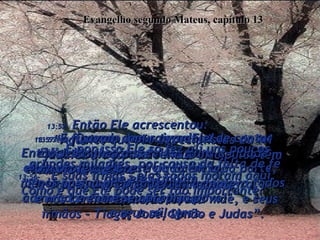 Evangelho segundo Mateus, capítulo 13 13:52-  Então Ele acrescentou:  “Aqueles que são especialistas da lei judaica e agora são meus discípulos têm tesouro em dobro  - tanto do Antigo Testamento,  como do Novo!"  13:53e54-  Quando Jesus terminou de contar estas ilustrações, voltou para a cidade  onde morava, Nazaré da Galiléia,  e lá ensinava na sinagoga e deixava todos admirados com sua sabedoria  e seus milagres.  13:55-  "Como é possível isto"  exclamava o povo.  "Ele é apenas o filho de um carpinteiro,  e nós conhecemos Maria, sua mãe, e seus irmãos - Tiago, José, Simão e Judas”.  13:56-  “E suas irmãs - elas todas moram aqui. Como é que Ele pode ser tão importante?"  13:57-  E ficavam com raiva dEle!  Então Jesus lhes disse:  “Um profeta é prestigiado em toda parte, menos na sua própria terra,  e entre seu próprio povo!"  13:58-  E por isso Ele só fez ali uns poucos grandes milagres, por causa da falta de fé que eles tinham.  