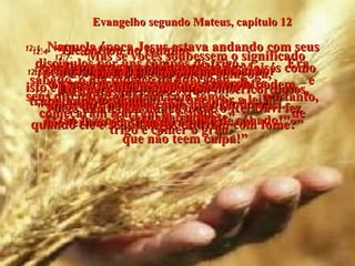 Evangelho segundo Mateus, capítulo 12 12:1-   Naquela época Jesus estava andando com seus discípulos por uns campos de trigo.  Era sábado, o dia judaico de adoração,  e seus discípulos estavam com fome;  portanto, começaram a arrancar espigas  de trigo e comer o grão.  12:2-   Mas alguns fariseus os viram fazer  isto e protestaram:  "Os seus discípulos estão quebrando a lei.  Estão fazendo colheita no dia de sábado!"  12:3-   Mas Jesus lhes disse:  "Vocês não leram nunca o que o Rei Davi fez quando ele e seus amigos estavam com fome?”  12:4-   “Ele entrou no templo;  e todos comeram o pão especial,  o que só era permitido aos sacerdotes.  Isto também era quebrar a lei!”  12:5-   “E vocês nunca leram na lei de Moisés como os sacerdotes de serviço no templo podem  trabalhar no sábado?  E verdadeiramente”, 12:6-   “aqui está Alguém que é maior  do que o templo!”  12:7-   “Mas se vocês soubessem o significado  deste versículo da Escritura:  'Eu quero que vocês sejam misericordiosos,  mais do que quero suas ofertas',  não teriam condenado aqueles  que não teem culpa!”  12:8-   “Porque Eu, o Messias, sou Senhor  até mesmo do sábado".  12:9-   Então Ele foi para a sinagoga,  