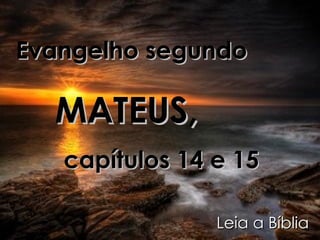 Evangelho segundo   MATEUS,  capítulos 14 e 15 Leia a Bíblia 