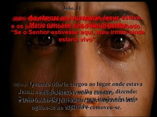 32(BV)-   Ao chegar ao lugar onde Jesus estava, Maria caiu aos pés dele, dizendo: “ Se o Senhor estivesse aqui, meu irmão ainda estaria vivo”. 32(RA)-   Quando Maria chegou ao lugar onde estava Jesus, ao vê-lo, lançou-se-lhe aos pés, dizendo: Senhor, se estiveras aqui, meu irmão não teria morrido. 33(BV)-   Quando Jesus viu Maria chorar,  e os judeus também, ficou muito perturbado. 33(RA)-   Jesus, vendo-a chorar,  e bem assim os judeus que a acompanhavam, agitou-se no espírito e comoveu-se. João, 11 