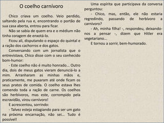 O coelho carnívoro
Chico criava um coelho. Veio perdido,
saltando pela rua e, encontrando o portão de
sua casa aberta, entrou para ficar.
Não se sabia de quem era e o médium não
tinha coragem de enxotá-lo.
Ficou ali, disputando o espaço do quintal e
a ração dos cachorros e dos gatos.
Conversando com um jornalista que o
entrevistava, Chico disse com o seu conhecido
bom-humor:
- Este coelho não é muito honrado... Outro
dia, dois de meus gatos vieram denunciá-lo a
mim. Arranharam as minhas mãos e,
praticamente, me puxaram até onde ficam os
seus pratos de comida. O coelho estava lhes
comendo toda a ração de carne. Os coelhos
são herbívoros, mas este, corrompido pela
escravidão, virou carnívoro!
E acrescentou, sorrindo:
- Talvez esteja estagiando para ser um gato
na próxima encarnação, não sei... Tudo é
possível!
Uma espírita que participava da conversa
perguntou:
- Chico, mas, então, ele não estaria
regredindo, passando de herbívoro a
carnívoro?
- Ah, minha filha! -, respondeu, deixando-
nos a pensar -, dizem que Hitler era
vegetariano...
E tornou a sorrir, bem-humorado.
 