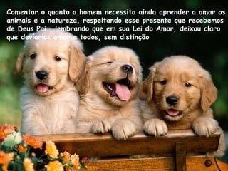Comentar o quanto o homem necessita ainda aprender a amar os
animais e a natureza, respeitando esse presente que recebemos
de Deus Pai...lembrando que em sua Lei do Amor, deixou claro
que devíamos amar a todos, sem distinção
 