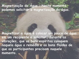 Magnetização da Água : Neste momento
podemos solicitar a magnetização da água.
Magnetizar a água é colocar um pouco de água
em um recipiente e solicitar, durante as
vibrações, que os bons espíritos coloquem
naquela água o remédio e os bons fluidos de
que os participantes precisam naquele
momento.
 