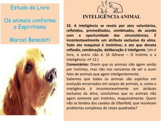 Estudo do Livro
Os animais conforme
o Espiritismo
Marcel Benedeti
INTELIGÊNCIAANIMAL
32. A inteligência se revela por atos voluntários,
refletidos, premeditados, combinados, de acordo
com a oportunidade das circunstâncias. É
incontestavelmente um atributo exclusivo da alma.
Todo ato maquinal é instintivo; o ato que denota
reflexão, combinação, deliberação é inteligente. Um é
livre, o outro não é. (A Gênese – O Instinto e a
Inteligência- nº 12.)
Comentários: Dizem que os animais não agem senão
por instintos, mas não nos cansamos de ver e ouvir
falar de animais que agem inteligentemente.
Sabemos que todos os animais são espíritos em
evolução encarnados em corpos de animais, e, como a
inteligência é incontestavelmente um atributo
exclusivo da alma, concluímos que os animais não
agem somente por instintos, maquinalmente. Quem
não se lembra dos cavalos de Elberfeld, que resolviam
problemas complexos de raízes quadradas?
 