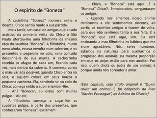O espírito de “Boneca”
A cadelinha “Boneca” morrera velha e
doente. Chico sentiu muito a sua partida.
Mais tarde, um casal de amigos que a tudo
assistiu, na primeira visita do Chico a São
Paulo ofertou-lhe uma filhotinha da mesma
raça da saudosa “Boneca”. A filhotinha, muito
nova ainda, estava envolta num cobertor, e os
presentes a pegavam no colo, sem contudo
desalinhá-la de sua manta. A cachorrinha
recebia os afagos de cada um, ficando cada
vez mais dentro da coberta. A conversa corria
o mais variada possível, quando Chico entra na
sala, e alguém coloca em seus braços a
pequena cachorra. Ela, sentindo-se no colo do
Chico, começa então a subir e lamber-lhe.
- Ah! “Boneca”, eu estou com muitas
pulgas – diz ele.
A filhotinha começa a caçar-lhe as
supostas pulgas, e parte dos presentes, que
conheceram “Boneca”, exclamam:
- Chico, a “Boneca” está aqui! É a
“Boneca” Chico?. Emocionados, perguntaram
os amigos.
- Quando nós amamos nosso animal
dedicamos a ele sentimentos sinceros, ao
partir, os espíritos amigos o trazem de volta,
para que não sentimos tanto a sua falta. É a
“Boneca” que está aqui, sim. Ela está
ensinando a esta filhotinha os hábitos que me
eram agradáveis. Nós, seres humanos,
estamos na natureza para auxiliarmos o
progresso dos animais, na mesma proporção
em que os anjos estão para nos auxiliar. Por
isso, quem chuta ou judia de um animal, é
porque ainda não aprender a amar.
(Este capítulo, cujo título original é “Quem
chuta um animal...”, foi adaptado do livro
“Kardec Prossegue”, de Adelino da Silveria)
 