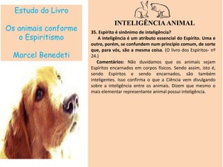 Estudo do Livro
Os animais conforme
o Espiritismo
Marcel Benedeti
INTELIGÊNCIAANIMAL
35. Espírito é sinônimo de inteligência?
A inteligência é um atributo essencial do Espírito. Uma e
outro, porém, se confundem num princípio comum, de sorte
que, para vós, são a mesma coisa. (O livro dos Espíritos- nº
24.)
Comentários: Não duvidamos que os animais sejam
Espíritos encarnados em corpos físicos. Sendo assim, isto é,
sendo Espíritos e sendo encarnados, são também
inteligentes. Isso confirma o que a Ciência vem divulgando
sobre a inteligência entre os animais. Dizem que mesmo o
mais elementar representante animal possui inteligência.
 