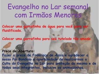 Evangelho no Lar semanal
com Irmãos Menores
Colocar uma garrafinha de água para você para ser
fluidificada.
Colocar uma garrafinha para seu tutelado tão amado.
Prece de Abertura:
Fazer a prece de Francisco de Assis e agradecer a
nosso Pai Bondoso a oportunidade de realizarmos o
Culto do Evangelho no Lar para proteção do mesmo e de
todos seus integrantes, inclusive os animaizinhos.
 