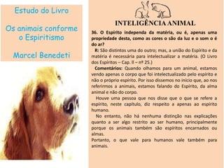 Estudo do Livro
Os animais conforme
o Espiritismo
Marcel Benedeti
INTELIGÊNCIAANIMAL
36. O Espírito independa da matéria, ou é, apenas uma
propriedade desta, como as cores o são da luz e o som o é
do ar?
R: São distintos uma do outro; mas, a união do Espírito e da
matéria é necessária para intelectualizar a matéria. (O Livro
dos Espíritos – Cap. ll – nº 25.)
Comentários: Quando olhamos para um animal, estamos
vendo apenas o corpo que foi intelectualizado pelo espírito e
não o próprio espírito. Por isso dissemos no início que, ao nos
referirmos a animais, estamos falando do Espírito, da alma
animal e não do corpo.
Houve uma pessoa que nos disse que o que se refere a
espírito, neste capítulo, diz respeito a apenas ao espírito
humano.
No entanto, não há nenhuma distinção nas explicações
quanto a ser algo restrito ao ser humano, principalmente
porque os animais também são espíritos encarnados ou
almas.
Portanto, o que vale para humanos vale também para
animais.
 