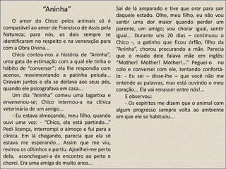 “Aninha”
O amor do Chico pelos animais só é
comparável ao amor de Francisco de Assis pela
Natureza; para nós, os dois sempre se
identificaram no respeito e na veneração para
com a Obra Divina...
Chico contou-nos a história de “Aninha”,
uma gata de estimação com a qual ele tinha o
hábito de “conversar”; ela lhe respondia com
acenos, movimentando a patinha peluda...
Oravam juntos e ela se deitava aos seus pés,
quando ele psicografava em casa...
Um dia “Aninha” comeu uma lagartixa e
envenenou-se; Chico internou-a na clínica
veterinária de um amigo...
- Eu estava almoçando, meu filho, quando
ouvi uma voz: - “Chico, ela está partindo...”
Pedi licença, interrompi o almoço e fui para a
clínica. Em lá chegando, parecia que ela só
estava me esperando... Assim que me viu,
revirou os olhinhos e partiu. Ajoelhei-me perto
dela, aconcheguei-a de encontro ao peito e
chorei. Era uma amiga de muito anos...
Saí de lá amparado e tive que orar para sair
daquele estado. Olhe, meu filho, eu não vou
sentir uma dor maior quando perder um
parente, um amigo; vou chorar igual, sentir
igual... Durante uns 20 dias – continuou o
Chico -, o gatinho que ficou órfão, filho da
“Aninha”, chorou procurando a mãe. Parecia
que o miado dele falava mãe em inglês:
“Mother! Mother! Mother!...” Peguei-o no
colo e conversei com ele, tentando confortá-
lo: - Eu sei – disse-lhe – que você não me
entende as palavras, mas está ouvindo o meu
coração... Ela vai renascer entre nós!...
E observou:
- Os espíritos me dizem que o animal com
algum progresso sempre volta ao ambiente
em que ele se habituou...
 