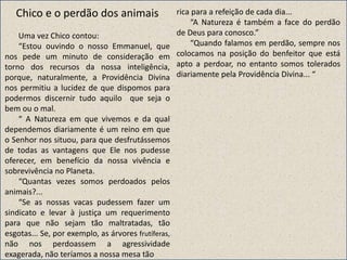 Chico e o perdão dos animais
Uma vez Chico contou:
“Estou ouvindo o nosso Emmanuel, que
nos pede um minuto de consideração em
torno dos recursos da nossa inteligência,
porque, naturalmente, a Providência Divina
nos permitiu a lucidez de que dispomos para
podermos discernir tudo aquilo que seja o
bem ou o mal.
“ A Natureza em que vivemos e da qual
dependemos diariamente é um reino em que
o Senhor nos situou, para que desfrutássemos
de todas as vantagens que Ele nos pudesse
oferecer, em benefício da nossa vivência e
sobrevivência no Planeta.
“Quantas vezes somos perdoados pelos
animais?...
“Se as nossas vacas pudessem fazer um
sindicato e levar à justiça um requerimento
para que não sejam tão maltratadas, tão
esgotas... Se, por exemplo, as árvores frutíferas,
não nos perdoassem a agressividade
exagerada, não teríamos a nossa mesa tão
rica para a refeição de cada dia...
“A Natureza é também a face do perdão
de Deus para conosco.”
“Quando falamos em perdão, sempre nos
colocamos na posição do benfeitor que está
apto a perdoar, no entanto somos tolerados
diariamente pela Providência Divina... “
 