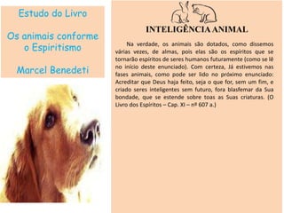 Estudo do Livro
Os animais conforme
o Espiritismo
Marcel Benedeti
INTELIGÊNCIAANIMAL
Na verdade, os animais são dotados, como dissemos
várias vezes, de almas, pois elas são os espíritos que se
tornarão espíritos de seres humanos futuramente (como se lê
no início deste enunciado). Com certeza, Já estivemos nas
fases animais, como pode ser lido no próximo enunciado:
Acreditar que Deus haja feito, seja o que for, sem um fim, e
criado seres inteligentes sem futuro, fora blasfemar da Sua
bondade, que se estende sobre toas as Suas criaturas. (O
Livro dos Espíritos – Cap. XI – nº 607 a.)
 