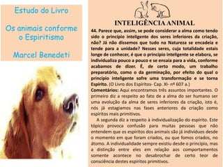Estudo do Livro
Os animais conforme
o Espiritismo
Marcel Benedeti
INTELIGÊNCIAANIMAL
44. Parece que, assim, se pode considerar a alma como tendo
sido o princípio inteligente dos seres inferiores da criação,
não? Já não dissemos que tudo na Natureza se encadeia e
tende para a unidade? Nesses seres, cuja totalidade estais
longe de conhecer, é que o princípio inteligente se elabora, se
individualiza pouco a pouco e se ensaia para a vida, conforme
acabamos de dizer. É, de certo modo, um trabalho
preparatório, como o da germinação, por efeito do qual o
princípio inteligente sofre uma transformação e se torna
Espírito. (O Livro dos Espíritos- Cap. XI- nº 607 a.)
Comentários: Aqui encontramos três assuntos importantes. O
primeiro diz a respeito ao fato de a alma do ser humano ser
uma evolução da alma de seres inferiores da criação, isto é,
nós já estagiamos nas fases anteriores da criação como
espíritos mais primitivos.
A segunda diz a respeito à individualização do espírito. Este
tópico provoca confusão para muitas pessoas que não
entendem que os espíritos dos animais são já indivíduos desde
o momento em que foram criados, ou que fomos criados, no
átomo. A individualidade sempre existiu desde o princípio, mas
a distinção entre eles em relação aos comportamentos
somente acontece no desabrochar de certo teor de
consciência destes espíritos primitivos.
 