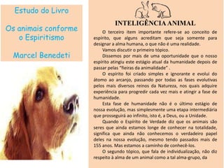Estudo do Livro
Os animais conforme
o Espiritismo
Marcel Benedeti
INTELIGÊNCIAANIMAL
O terceiro item importante refere-se ao conceito de
espírito, que alguns acreditam que seja somente para
designar a alma humana, o que não é uma realidade.
Vamos discutir o primeiro tópico.
Dissemos por mais de uma oportunidade que o nosso
espírito atingiu este estágio atual da humanidade depois de
passar pelas “fieiras da animalidade” .
O espírito foi criado simples e ignorante e evolui do
átomo ao arcanjo, passando por todas as fases evolutivas
pelos mais diversos reinos da Natureza, nos quais adquire
experiência para progredir cada vez mais e atingir a fase de
humanidade.
Esta fase de humanidade não é o último estágio de
nossa evolução, mas simplesmente uma etapa intermediária
que prosseguirá ao infinito, isto é, a Deus, ou a Unidade.
Quando o Espírito de Verdade diz que os animais são
seres que ainda estamos longe de conhecer na totalidade,
significa que ainda não conhecemos o verdadeiro papel
deles na nossa evolução, mesmo tendo passados mais de
155 anos. Mas estamos a caminho de conhecê-los.
O segundo tópico, que fala de individualização, não diz
respeito à alma de um animal como a tal alma-grupo, da
 