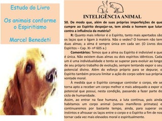 Estudo do Livro
Os animais conforme
o Espiritismo
Marcel Benedeti
INTELIGÊNCIAANIMAL
50. De modo que, além de suas próprias imperfeições de que
cumpre ao Espírito despojar-se, tem ainda o homem que lutar
contra a influência da matéria?
R: Quanto mais inferior é o Espírito, tanto mais apertados são
os laços que o ligam à matéria. Não o vedes? O homem não tem
duas almas; a alma é sempre única em cada ser. (O Livros dos
Espíritos – Cap. XI- nº 605 a.)
Comentários: Temos que a alma ou Espírito é indivisível e que
é única. Não existem duas almas ou dois espíritos idênticos. Cada
um é uma individualidade e tenta se superar para evoluir ao longo
de seu próprio trabalho de evolução, sempre tentando expor o seu
potencial divino. Além do esforço próprio para se depurar, o
Espírito também procura limitar a ação do corpo sobre sua própria
vontade moral.
À medida que o Espírito consegue controlar o corpo, ele se
torna apto a receber um corpo melhor e mais adequado a expor o
potencial que possui, nesta condição, passando a fazer parte do
ciclo de humanidade.
Assim, ao entrar na fase humana, a luta continua, pois ainda
habitamos um corpo animal (somos mamíferos primatas) e
continuaremos por bastante tempo, ainda, para superar os
instintos e afrouxar os laços entre o corpo e o Espírito a fim de nos
tornar cada vez mais elevados moral e espiritualmente.
 