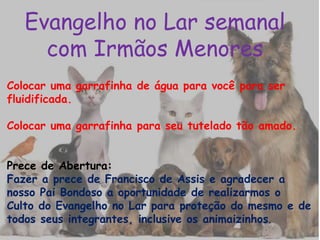 Evangelho no Lar semanal
com Irmãos Menores
Colocar uma garrafinha de água para você para ser
fluidificada.
Colocar uma garrafinha para seu tutelado tão amado.
Prece de Abertura:
Fazer a prece de Francisco de Assis e agradecer a
nosso Pai Bondoso a oportunidade de realizarmos o
Culto do Evangelho no Lar para proteção do mesmo e de
todos seus integrantes, inclusive os animaizinhos.
 