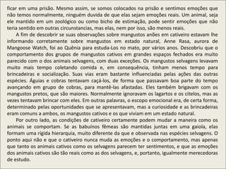 ficar em uma prisão. Mesmo assim, se somos colocados na prisão e sentimos emoções que
não temos normalmente, ninguém duvida de que elas sejam emoções reais. Um animal, seja
ele mantido em um zoológico ou como bicho de estimação, pode sentir emoções que não
teria sentido em outras circunstancias, mas elas, nem por isso, são menos reais.
A fim de descobrir se suas observações sobre mangustos anões em cativeiro estavam lhe
informando corretamente sobre mangustos em estado natural, Anne Rasa, aurora de
Mangoose Watch, foi ao Quênia para estuda-Los no mato, por vários anos. Descobriu que o
comportamento dos grupos de mangustos cativos em grandes espaços fechados era muito
parecido com o dos animais selvagens, com duas exceções. Os mangustos selvagens levavam
muito mais tempo coletando comida e, em consequência, tinham menos tempo para
brincadeiras e socialização. Suas vias eram bastante influenciadas pelas ações das outras
espécies. Águias e cobras tentavam caçá-los, de forma que passavam boa parte do tempo
avançando em grupo de cobras, para mantê-las afastadas. Eles também brigavam com os
mangustos pretos, que são maiores. Normalmente ignoravam os lagartos e os citelos, mas as
vezes tentavam brincar com eles. Em outras palavras, o escopo emocional era, de certa forma,
determinado pelas oportunidades que se apresentavam, mas a curiosidade e as brincadeiras
eram comuns a ambos, os mangustos cativos e os que viviam em um estado natural.
Por outro lado, as condições de cativeiro certamente podem mudar a maneira como os
animais se comportam. Se as babuínos fêmeas são mantidas juntas em uma gaiola, elas
formam uma rígida hierarquia, muito diferente da que e observada nas espécies selvagens. O
ponto aqui não e que o cativeiro nunca muda as emoções e o comportamento, mas apenas
que tanto os animais cativos como os selvagens parecem ter sentimentos, e que as emoções
dos animais cativos são tão reais como as dos selvagens, e, portanto, igualmente merecedoras
de estudo.
 