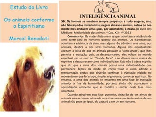 Estudo do Livro
Os animais conforme
o Espiritismo
Marcel Benedeti
INTELIGÊNCIAANIMAL
56. Os homens se mostram sempre propensos a tudo exagerar, uns,
não falo aqui dos materialistas, negam alma aos animais, outros de boa
mente lhes atribuem uma, igual, por assim dizer, à nossa. (O Livro dos
Médiuns- Mediunidade dos animais – Cap. XXII- nº 236.)
Comentários: Os materialistas nem se quer admitem a existência de
alma tanto para os humanos quanto aos animais. Os espiritualistas
admitem a existência da alma, mas alguns não admitem uma alma, aos
animais, idêntica à dos seres humanos. Alguns dos espiritualistas
aceitam a ideia de que os animais possuam a “alma-grupo”, que lhes
permite a evolução, pois, ao desencarnarem, eles voltam ao mundo
espiritual pra se unir ao “Grande Todo” e se diluem nesta massa de
espíritos e desaparecem como individualidade. Esta não é a tese espírita
que diz que a alma dos animais possui uma individualidade que
permanece depois da morte do corpo físico e ainda admite a
reencarnação destas que deverão continuar à evolução iniciada no
momento em que foi criado, simples e ignorante, como ser espiritual. No
entanto, a alma dos animais se encontra em uma fase de evolução
anterior à fase de humanidade, portanto ainda não alcançaram o
aprendizado suficiente que as habilite a entrar nesta fase mais
adiantada.
Quando atingirem esta fase posterior, deixarão de ser almas de
animais para se tornar almas de seres humanos, portanto a alma de um
animal não pode ser igual, ela passará a ser um ser humano.
 