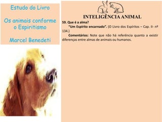 Estudo do Livro
Os animais conforme
o Espiritismo
Marcel Benedeti
INTELIGÊNCIAANIMAL
59. Que é a alma?
“Um Espírito encarnado”. (O Livro dos Espíritos – Cap. II- nº
134.)
Comentários: Note que não há referência quanto a existir
diferenças entre almas de animais ou humanos.
 