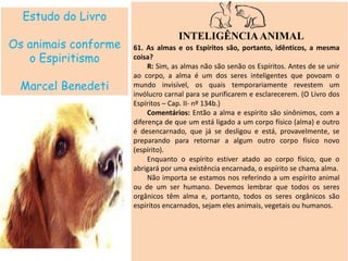 Estudo do Livro
Os animais conforme
o Espiritismo
Marcel Benedeti
INTELIGÊNCIAANIMAL
61. As almas e os Espíritos são, portanto, idênticos, a mesma
coisa?
R: Sim, as almas não são senão os Espíritos. Antes de se unir
ao corpo, a alma é um dos seres inteligentes que povoam o
mundo invisível, os quais temporariamente revestem um
invólucro carnal para se purificarem e esclarecerem. (O Livro dos
Espíritos – Cap. II- nº 134b.)
Comentários: Então a alma e espírito são sinônimos, com a
diferença de que um está ligado a um corpo físico (alma) e outro
é desencarnado, que já se desligou e está, provavelmente, se
preparando para retornar a algum outro corpo físico novo
(espírito).
Enquanto o espírito estiver atado ao corpo físico, que o
abrigará por uma existência encarnada, o espírito se chama alma.
Não importa se estamos nos referindo a um espírito animal
ou de um ser humano. Devemos lembrar que todos os seres
orgânicos têm alma e, portanto, todos os seres orgânicos são
espíritos encarnados, sejam eles animais, vegetais ou humanos.
 