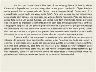 No livro de Konrad Lorenz The Year of the Greylag Goose (0 Ano do Ganso
Cinzento), a legenda em uma das fotografias de um ganso macho diz: "Apos Ado [um
outro ganso] ter se apropriado de Selma [sua ex-companheira], Gurnemanz ficou
estraçalhado, como pode ser visto nesta foto". Para uma pessoa apenas casualmente
acostumada com gansos, isso não pode ser visto de forma nenhuma. Pode ser Canto um
ganso feliz como um ganso furioso. Um ganso não tem mobilidade facial, portanto,
não tem como se expressar facialmente. Lorenz, com base em longa experiência, conhecia
a linguagem corporal de um ganso e podia entende-la. A postura e a posição do pescoço
de Gurnemanz diz Ludo sobre sua submissão e desmoralização. Em outra parte, Lorenz
descreve as posturas e os gestos dos gansos, bem como os sons emitidos quando estão
vitoriosos, incertos, tensor, contentes, tristes, alertas, relaxados, ou ameaçadores.
0 ponto aqui e que um ganso ou qualquer outro animal pode ser uma massa
vibrante de emoção. Seus sentimentos podem estar "escritos por todo seu rosto", e
entender o significado deles pode ser apenas uma questão de pratica. Estamos restritos
somente pela ignorância, pela falta de interesse, pelo desejo de tirar vantagem deles
(como quando queremos come-los), ou por nossos preconceitos antropocêntricos que
nos impedem, como se por decreto divino, de reconhecer a comunalidade onde ela
poderia existir. Como podemos ser deuses se os animais são como nós?
 