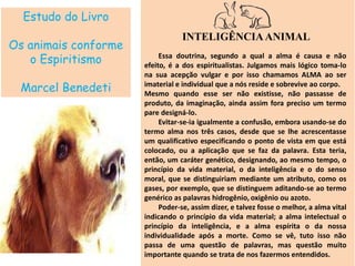 Estudo do Livro
Os animais conforme
o Espiritismo
Marcel Benedeti
INTELIGÊNCIAANIMAL
Essa doutrina, segundo a qual a alma é causa e não
efeito, é a dos espiritualistas. Julgamos mais lógico toma-lo
na sua acepção vulgar e por isso chamamos ALMA ao ser
imaterial e individual que a nós reside e sobrevive ao corpo.
Mesmo quando esse ser não existisse, não passasse de
produto, da imaginação, ainda assim fora preciso um termo
pare designá-lo.
Evitar-se-ia igualmente a confusão, embora usando-se do
termo alma nos três casos, desde que se lhe acrescentasse
um qualificativo especificando o ponto de vista em que está
colocado, ou a aplicação que se faz da palavra. Esta teria,
então, um caráter genético, designando, ao mesmo tempo, o
princípio da vida material, o da inteligência e o do senso
moral, que se distinguiriam mediante um atributo, como os
gases, por exemplo, que se distinguem aditando-se ao termo
genérico as palavras hidrogênio, oxigênio ou azoto.
Poder-se, assim dizer, e talvez fosse o melhor, a alma vital
indicando o princípio da vida material; a alma intelectual o
princípio da inteligência, e a alma espírita o da nossa
individualidade após a morte. Como se vê, tuto isso não
passa de uma questão de palavras, mas questão muito
importante quando se trata de nos fazermos entendidos.
 