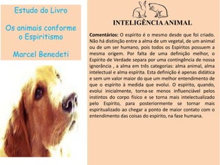 Estudo do Livro
Os animais conforme
o Espiritismo
Marcel Benedeti
INTELIGÊNCIAANIMAL
Comentários: O espírito é o mesmo desde que foi criado.
Não há distinção entre a alma de um vegetal, de um animal
ou de um ser humano, pois todos os Espíritos possuem a
mesma origem. Por falta de uma definição melhor, o
Espírito de Verdade separa por uma contingência de nossa
ignorância , a alma em três categorias: alma animal, alma
intelectual e alma espírita. Esta definição é apenas didática
e sem um valor maior do que um melhor entendimento de
que o espírito à medida que evolui. O espírito, quando,
evolui inicialmente, torna-se menos influenciável pelos
instintos do corpo físico e se torna mais intelectualizado
pelo Espírito, para posteriormente se tornar mais
espiritualizado ao chegar a ponto de maior contato com o
entendimento das coisas do espirito, na fase humana.
 