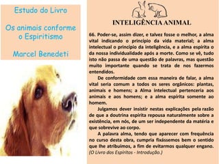 Estudo do Livro
Os animais conforme
o Espiritismo
Marcel Benedeti
INTELIGÊNCIAANIMAL
66. Poder-se, assim dizer, e talvez fosse o melhor, a alma
vital indicando o princípio da vida material; a alma
intelectual o princípio da inteligência, e a alma espírita o
da nossa individualidade após a morte. Como se vê, tudo
isto não passa de uma questão de palavras, mas questão
muito importante quando se trata de nos fazermos
entendidos.
De conformidade com essa maneira de falar, a alma
vital seria comum a todos os seres orgânicos: plantas,
animais e homens; a Alma intelectual pertenceria aos
animais e aos homens; e a alma espírita somente ao
homem.
Julgamos dever insistir nestas explicações pela razão
de que a doutrina espírita repousa naturalmente sobre a
existência, em nós, de um ser independente da matéria e
que sobrevive ao corpo.
A palavra alma, tendo que aparecer com frequência
no curso desta obra, cumpria fixássemos bem o sentido
que Ihe atribuímos, a fim de evitarmos qualquer engano.
(O Livro dos Espíritos - Introdução.)
 