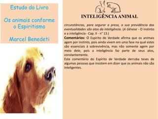 Estudo do Livro
Os animais conforme
o Espiritismo
Marcel Benedeti
INTELIGÊNCIAANIMAL
circunstâncias, para segurar a presa, a sua previdência das
eventualidades são atos da inteligência. (A Gênese - O instinto
e a inteligência - Cap. II - n° 13.)
Comentários: O Espirito de Verdade afirma que os animais
agem por instinto, pois ainda vivem em uma fase na qual estes
são essenciais à sobrevivência, mas não somente agem por
meio dele, pois a inteligência faz parte de seus atos,
constantemente.
Este comentário do Espírito de Verdade derruba teses de
algumas pessoas que insistem em dizer que os animais não são
inteligentes.
 