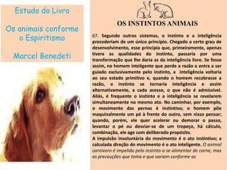 Estudo do Livro
Os animais conforme
o Espiritismo
Marcel Benedeti
OS INSTINTOS ANIMAIS
67. Segundo outros sistemas, o instinto e a inteligência
procederiam de um único princípio. Chegado a certo grau de
desenvolvimento, esse principia que, primeiramente, apenas
tivera as qualidades do instinto, passaria por uma
transformação que lhe daria as da inteligência livre. Se fosse
assim, no homem inteligente que perde a razão e entra a ser
guiado exclusivamente pelo instinto, a inteligência voltaria
ao seu estado primitivo e, quando o homem recobrasse a
razão, o instinto se tornaria inteligência e assim
alternativamente, a cada acesso, o que não é admissível.
Aliás, é frequente o instinto e a inteligência se revelarem
simultaneamente no mesmo ato. No caminhar, por exemplo,
o movimento das pernas é instintivo; o homem põe
maquinalmente um pé à frente do outro, sem nisso pensar;
quando, porém, ele quer acelerar ou demorar o passo,
levantar o pé ou desviar-se de um tropeço, há cálculo,
combinação, ele age com deliberado propósito.
A impulsão involuntária do movimento é o ato instintivo; a
calculada direção do movimento é o ato inteligente. O animal
carnívoro é impelido pelo instinto a se alimentar de carne, mas
as precauções que toma e que variam conforme as
 