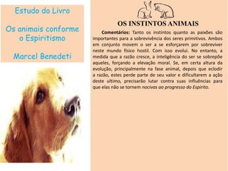 Estudo do Livro
Os animais conforme
o Espiritismo
Marcel Benedeti
OS INSTINTOS ANIMAIS
Comentários: Tanto os instintos quanto as paixões são
importantes para a sobrevivência dos seres primitivos. Ambos
em conjunto movem o ser a se esforçarem por sobreviver
neste mundo físico hostil. Com isso evolui. No entanto, a
medida que a razão cresce, a inteligência do ser se sobrepõe
aqueles, forçando a elevação moral. Se, em certa altura da
evolução, principalmente na fase animal, depois que eclodir
a razão, estes perde parte de seu valor e dificultarem a ação
deste ultimo, precisarão lutar contra suas influências para
que elas não se tornem nocivas ao progresso do Espirito.
 