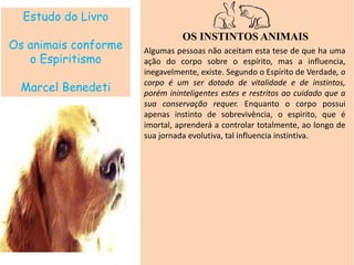 Estudo do Livro
Os animais conforme
o Espiritismo
Marcel Benedeti
OS INSTINTOS ANIMAIS
Algumas pessoas não aceitam esta tese de que ha uma
ação do corpo sobre o espírito, mas a influencia,
inegavelmente, existe. Segundo o Espírito de Verdade, o
corpo é um ser dotado de vitalidade e de instintos,
porém ininteligentes estes e restritos ao cuidado que a
sua conservação requer. Enquanto o corpo possui
apenas instinto de sobrevivência, o espirito, que é
imortal, aprenderá a controlar totalmente, ao longo de
sua jornada evolutiva, tal influencia instintiva.
 