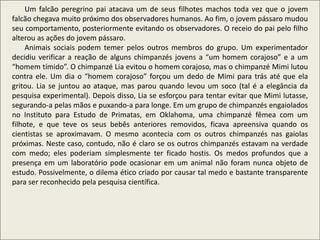 .
Um falcão peregrino pai atacava um de seus filhotes machos toda vez que o jovem
falcão chegava muito próximo dos observadores humanos. Ao fim, o jovem pássaro mudou
seu comportamento, posteriormente evitando os observadores. O receio do pai pelo filho
alterou as ações do jovem pássaro.
Animais sociais podem temer pelos outros membros do grupo. Um experimentador
decidiu verificar a reação de alguns chimpanzés jovens a “um homem corajoso” e a um
“homem tímido”. O chimpanzé Lia evitou o homem corajoso, mas o chimpanzé Mimi lutou
contra ele. Um dia o “homem corajoso” forçou um dedo de Mimi para trás até que ela
gritou. Lia se juntou ao ataque, mas parou quando levou um soco (tal é a elegância da
pesquisa experimental). Depois disso, Lia se esforçou para tentar evitar que Mimi lutasse,
segurando-a pelas mãos e puxando-a para longe. Em um grupo de chimpanzés engaiolados
no Instituto para Estudo de Primatas, em Oklahoma, uma chimpanzé fêmea com um
filhote, e que teve os seus bebês anteriores removidos, ficava apreensiva quando os
cientistas se aproximavam. O mesmo acontecia com os outros chimpanzés nas gaiolas
próximas. Neste caso, contudo, não é claro se os outros chimpanzés estavam na verdade
com medo; eles poderiam simplesmente ter ficado hostis. Os medos profundos que a
presença em um laboratório pode ocasionar em um animal não foram nunca objeto de
estudo. Possivelmente, o dilema ético criado por causar tal medo e bastante transparente
para ser reconhecido pela pesquisa científica.
 