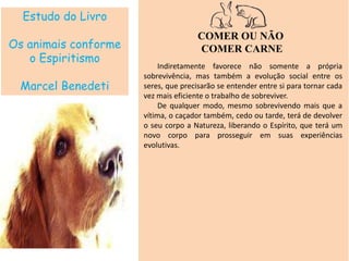 Estudo do Livro
Os animais conforme
o Espiritismo
Marcel Benedeti
COMER OU NÃO
COMER CARNE
Indiretamente favorece não somente a própria
sobrevivência, mas também a evolução social entre os
seres, que precisarão se entender entre si para tornar cada
vez mais eficiente o trabalho de sobreviver.
De qualquer modo, mesmo sobrevivendo mais que a
vítima, o caçador também, cedo ou tarde, terá de devolver
o seu corpo a Natureza, liberando o Espírito, que terá um
novo corpo para prosseguir em suas experiências
evolutivas.
 