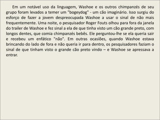 .
Em um notável uso da linguagem, Washoe e os outros chimpanzés de seu
grupo foram levados a temer um "bogeydog" - um cão imaginário. Isso surgiu do
esforço de fazer a jovem despreocupada Washoe a usar o sinal de não mais
frequentemente. Uma noite, o pesquisador Roger Fouts olhou para fora da janela
do trailer de Washoe e fez sinal a ela de que tinha visto um cão grande preto, com
longos dentes, que comia chimpanzés bebês. Ele perguntou-lhe se ela queria sair
e recebeu um enfático "não". Em outras ocasiões, quando Washoe estava
brincando do lado de fora e não queria ir para dentro, os pesquisadores faziam o
sinal de que tinham visto o grande cão preto vindo – e Washoe se apressava a
entrar.
 
