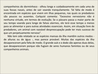 .
companheiros do dorminhoco - olhou longa e cuidadosamente em cada uma de
suas fossas nasais, antes de sair voando tranquilamente. Tal falta de medo é
encontrada em espécies que vivem em ilhas pequenas, nas quais os predadores
são poucos ou ausentes. Carlquist comenta: "Excessivo nervosismo não é
nenhuma virtude, em termos de evolução. Se o pássaro passa a maior parte de
seu tempo voando para longe de falsos alarmes, ele terá esse tempo a menos
para se alimentar e para outras atividades essenciais. Assim, em situação livre de
predadores, um animal com razoável despreocupação pode ter mais sucesso do
que um perpetuamente nervoso".
Não tem sido relatado se as espécies mansas da ilha mantêm outros medos -
de alturas ou de água -, mas parece provável. Muitas das espécies da ilha
desapareceram pela falta de medo. O grande auk e o dodo são apenas duas delas,
que desapareceram porque não fugiam de seres humanos famintos ou de seus
companheiros animais.
 