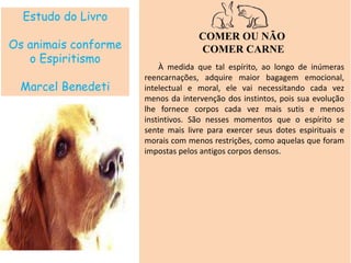 Estudo do Livro
Os animais conforme
o Espiritismo
Marcel Benedeti
COMER OU NÃO
COMER CARNE
À medida que tal espírito, ao longo de inúmeras
reencarnações, adquire maior bagagem emocional,
intelectual e moral, ele vai necessitando cada vez
menos da intervenção dos instintos, pois sua evolução
lhe fornece corpos cada vez mais sutis e menos
instintivos. São nesses momentos que o espírito se
sente mais livre para exercer seus dotes espirituais e
morais com menos restrições, como aquelas que foram
impostas pelos antigos corpos densos.
 