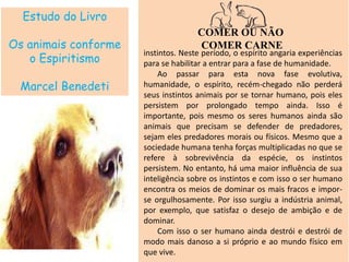 Estudo do Livro
Os animais conforme
o Espiritismo
Marcel Benedeti
COMER OU NÃO
COMER CARNE
instintos. Neste período, o espírito angaria experiências
para se habilitar a entrar para a fase de humanidade.
Ao passar para esta nova fase evolutiva,
humanidade, o espírito, recém-chegado não perderá
seus instintos animais por se tornar humano, pois eles
persistem por prolongado tempo ainda. Isso é
importante, pois mesmo os seres humanos ainda são
animais que precisam se defender de predadores,
sejam eles predadores morais ou físicos. Mesmo que a
sociedade humana tenha forças multiplicadas no que se
refere à sobrevivência da espécie, os instintos
persistem. No entanto, há uma maior influência de sua
inteligência sobre os instintos e com isso o ser humano
encontra os meios de dominar os mais fracos e impor-
se orgulhosamente. Por isso surgiu a indústria animal,
por exemplo, que satisfaz o desejo de ambição e de
dominar.
Com isso o ser humano ainda destrói e destrói de
modo mais danoso a si próprio e ao mundo físico em
que vive.
 