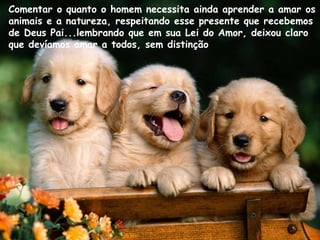 Comentar o quanto o homem necessita ainda aprender a amar os
animais e a natureza, respeitando esse presente que recebemos
de Deus Pai...lembrando que em sua Lei do Amor, deixou claro
que devíamos amar a todos, sem distinção
 