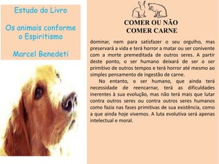 Estudo do Livro
Os animais conforme
o Espiritismo
Marcel Benedeti
COMER OU NÃO
COMER CARNE
dominar, nem para satisfazer o seu orgulho, mas
preservará a vida e terá horror a matar ou ser conivente
com a morte premeditada de outros seres. A partir
deste ponto, o ser humano deixará de ser o ser
primitivo de outros tempos e terá horror até mesmo ao
simples pensamento de ingestão de carne.
No entanto, o ser humano, que ainda terá
necessidade de reencarnar, terá as dificuldades
inerentes à sua evolução, mas não terá mais que lutar
contra outros seres ou contra outros seres humanos
como fazia nas fases primitivas de sua existência, como
a que ainda hoje vivemos. A luta evolutiva será apenas
intelectual e moral.
 