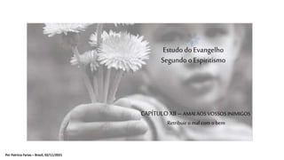 Por Patrícia Farias – Brasil, 02/11/2021
CAPÍTULO XII – AMAI AOSVOSSOSINIMIGOS
Retribuir o mal com o bem
Estudo do Evangelho
Segundo o Espiritismo
 