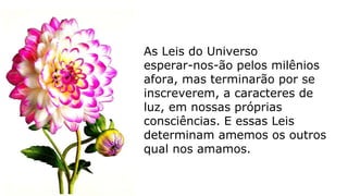 As Leis do Universo
esperar-nos-ão pelos milênios
afora, mas terminarão por se
inscreverem, a caracteres de
luz, em nossas próprias
consciências. E essas Leis
determinam amemos os outros
qual nos amamos.
 