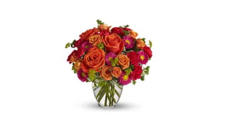 Evangelho cap VIII - adulterio