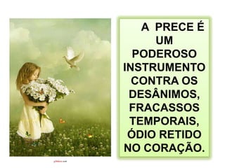 REFORMADOR- MARÇO/2009:JESUS ESTAVA INSTALADO PROVISORIAMENTE  EM  CASA DE SIMÃO PEDRO, EM NAIM, E PERCEBENDO QUE O TEOR DAS CONVERSAÇÕES  JÁ CAMINHAVAM    PARA  IMPRODUTIVAS, TOMOU DAS SAGRADAS ESCRITURAS E FALOU COM BONDADE:- SIMÃO, QUE FAZ O PESCADOR QUANDO SE DIRIGE PARA O MERCADO COM OS FRUTOS DE CADA DIA?- MESTRE, ESCOLHEMOS OS PEIXES MEHORES.