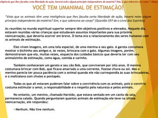 VOCÊ TEM UMANIMAL DE ESTIMAÇÃO?
“Visto que os animais têm uma inteligência que lhes faculta certa liberdade de ação, haverá neles algum
princípio independente da matéria? Sim, e que sobrevive ao corpo” (Questão 597 de o Livro dos Espíritos)
As reuniões no mundo espiritual superior sempre têm objetivos positivos e elevados. Naquele dia,
estavam reunidas várias crianças que estudavam assuntos importantes para sua próxima
reencarnação, que deveria ocorrer em breve. O tema era o relacionamento dos seres humanos com
os animais de estimação.
Eles viram imagens, em uma tela especial, de uma menina e seu gato. A garota costumava
mostrar o bichinho aos amigos e, às vezes, brincava com o gato. Algumas imagens, porém,
demonstravam que ela, muitas vezes, esquecia dos cuidados básicos que deveria ter com seu
animalzinho de estimação, como água, comida e carinho.
Também conheceram um garoto e seu cão Bob, que conviveram por oito anos. O menino
costumava brincar com Bob, que ficava amarrado a uma corrente, fizesse chuva ou sol. Mas o
menino parecia ter pouca paciência com o animal quando ele não correspondia às suas brincadeiras,
e o maltratava com chutes e pontapés.
Todas os que ali estavam puderam falar sobre a convivência com os animais, pois o convívio
costuma estimular o amor, a responsabilidade e o respeito pela natureza e pelos animais.
No entanto, um menino, chamado Haroldo, que estava sentado em um canto da sala,
permanecia calado. Quando perguntaram quantos animais de estimação ele teve na última
reencarnação, ele respondeu:
- Nenhum. Não tive nenhum.
teligência que lhes faculta certa liberdade de ação, haverá neles algum princípio independente da matéria? Sim, e que sobrevive ao corpo.” (Quest
 