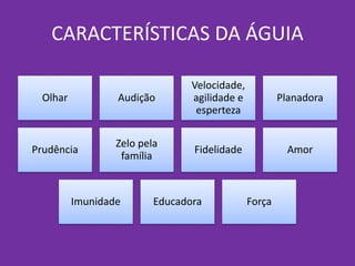 CARACTERÍSTICAS DA ÁGUIA
Olhar Audição
Velocidade,
agilidade e
esperteza
Planadora
Prudência
Zelo pela
família
Fidelidade Amor
Imunidade Educadora Força
 