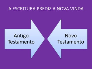 A ESCRITURA PREDIZ A NOVA VINDA
Antigo
Testamento
Novo
Testamento
 