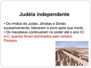 42
Judéia independente
• Os irmãos de Judas: Jônatas e Simão
sucessivamente, lideraram o povo após sua morte.
• Os macabeus continuaram no poder até o ano 63
a.C. quando foram dominados pelo romano
Pompeu.
 