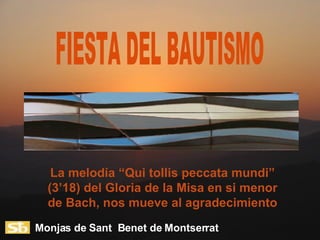 La melodía “Qui tollis peccata mundi” (3’18) del Gloria de la Misa en si menor de Bach, nos mueve al agradecimiento FIESTA DEL BAUTISMO Monjas de Sant  Benet de Montserrat 